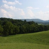 Hiram Jones Road