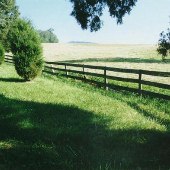 Scenics - Overhill Farm