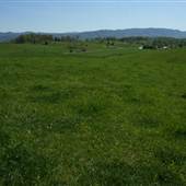 Washington County-Lodi, De Busk Mill & Greenfield
