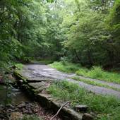 Whiteside Road