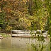 Edith Carrier Arboretum