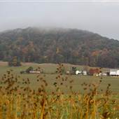 Mole Hill