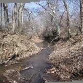 Fine Creek Mills Property