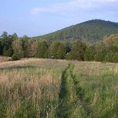 Nortonsville Field