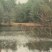 Pungoteague Waterfront