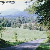 Virginia Roadshots