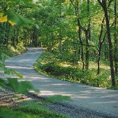 Timber Ridge Road