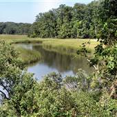 York River State Park