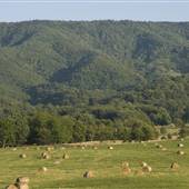 Big Stone Gap-Scenics