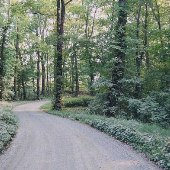 Dirt Roads - Green Springs
