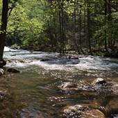 Stony Creek