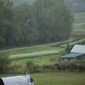 Anthony Flaccavento Farm