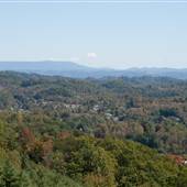 Mountain Rose Winery