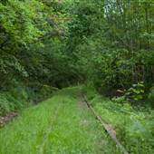 Rail to Trail