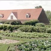 Washington's Distillery