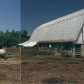 Oakmulgee Dairy Farm