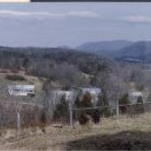 Village of Springwood