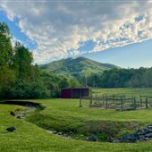 Heirloom Springs Farm