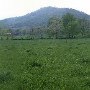 Village of Syria