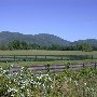 Route 231 - Revercombs Corner