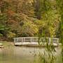 Edith Carrier Arboretum