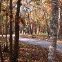 Route 635 & Route 638