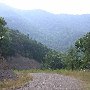 Forest Route 384