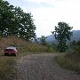 Forest Route 384