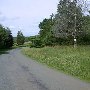 Scenic Roadshots Ivy