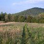 Nortonsville Field