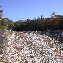 St. Mary's River