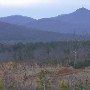 Alberene Clearcut