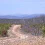 Spears Mountain
