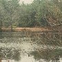 Pungoteague Waterfront