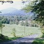 Virginia Roadshots