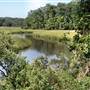York River State Park