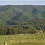 Big Stone Gap-Scenics