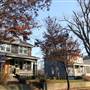 Battery Park Neighborhood