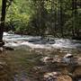Stony Creek