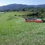 Mirador Estate and Horse Farm