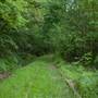 Rail to Trail