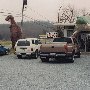 Reptile Center