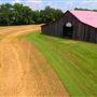 Meadowview