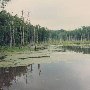 Dinwiddie County Wilderness