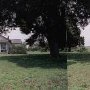 Chelsea Plantation