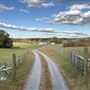 Ox Cart Farm