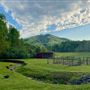 Heirloom Springs Farm