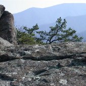 Twenty Minute Cliffs