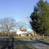 Dogtown Road Farm