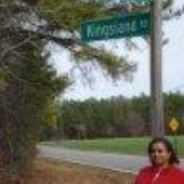 Kingsland Undeveloped Forest